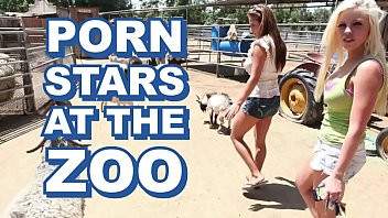 Play BANGBROS - Sexy Pornstars Invade Famous Zoo & Fuck Zookeeper